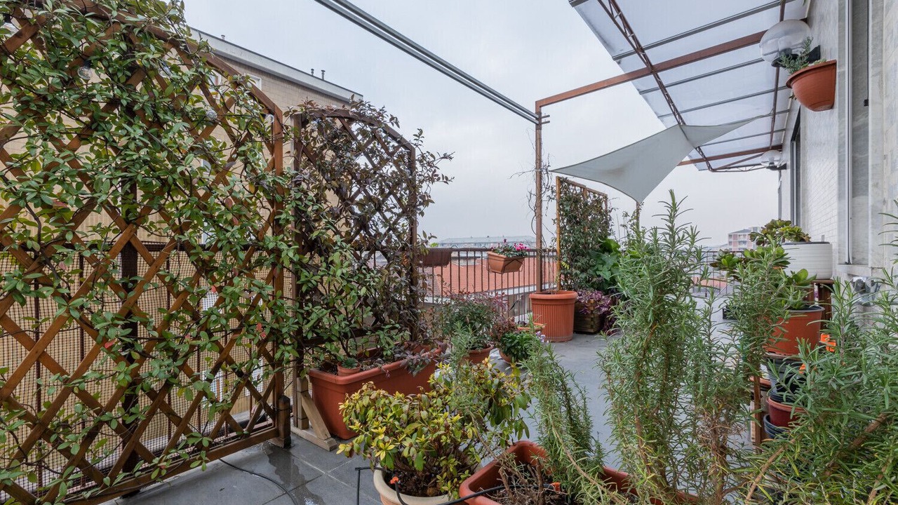Photo of Outdoor in Santa Rita