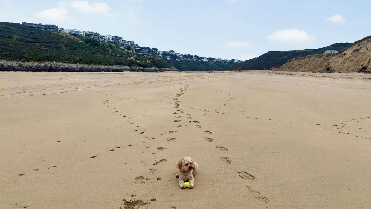 Photo of Others in Crantock