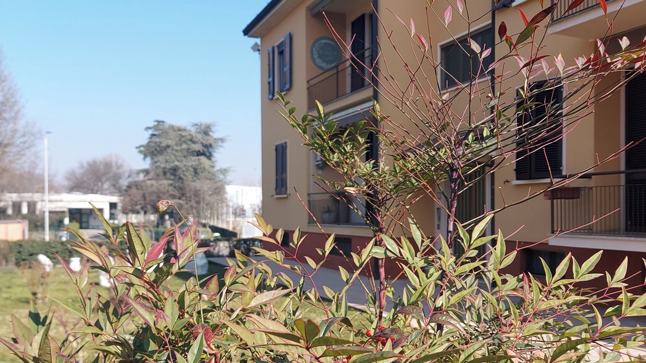 Photo of Outdoor in Picenengo