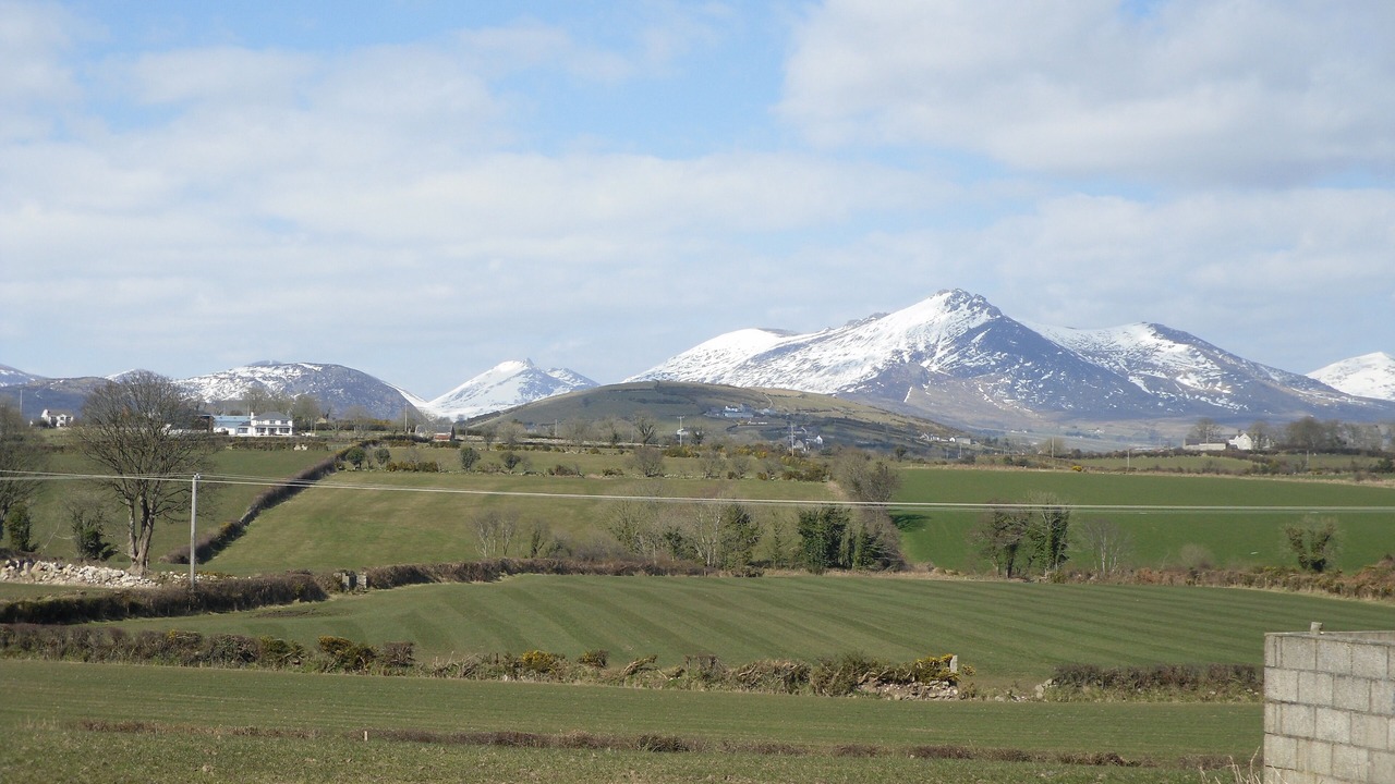 Photo of Others in Bryansford