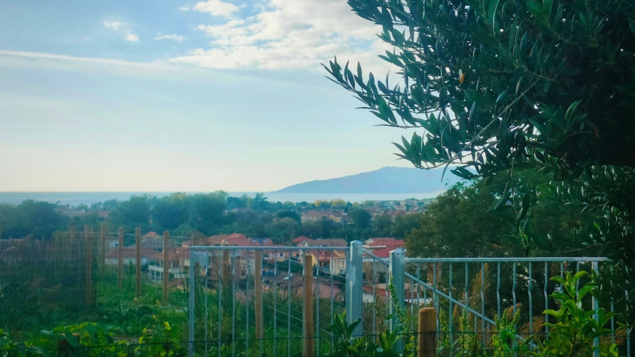 Photo of Others in Marina di Ascea
