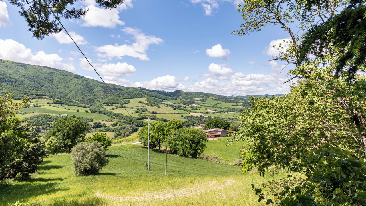Photo of Others in Calmazzo