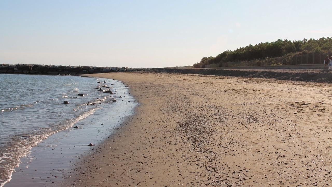 Photo of Others in Eraclea Mare