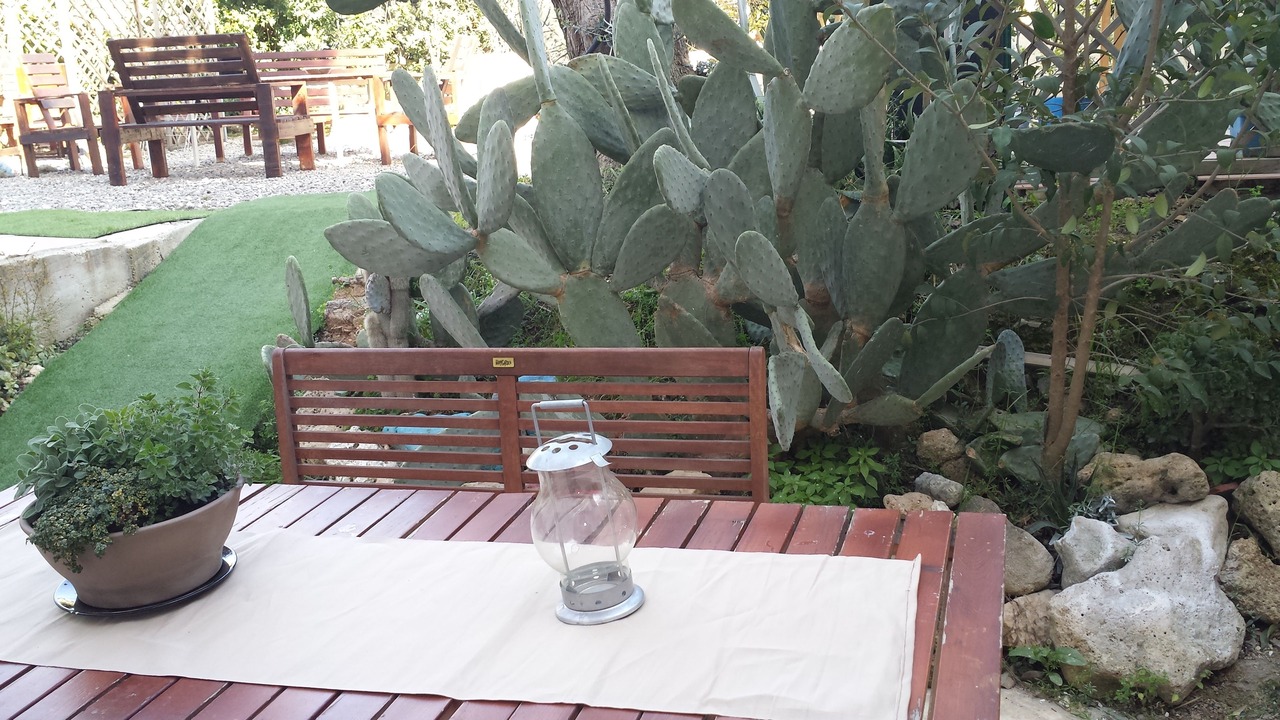 Photo of Outdoor in Lama