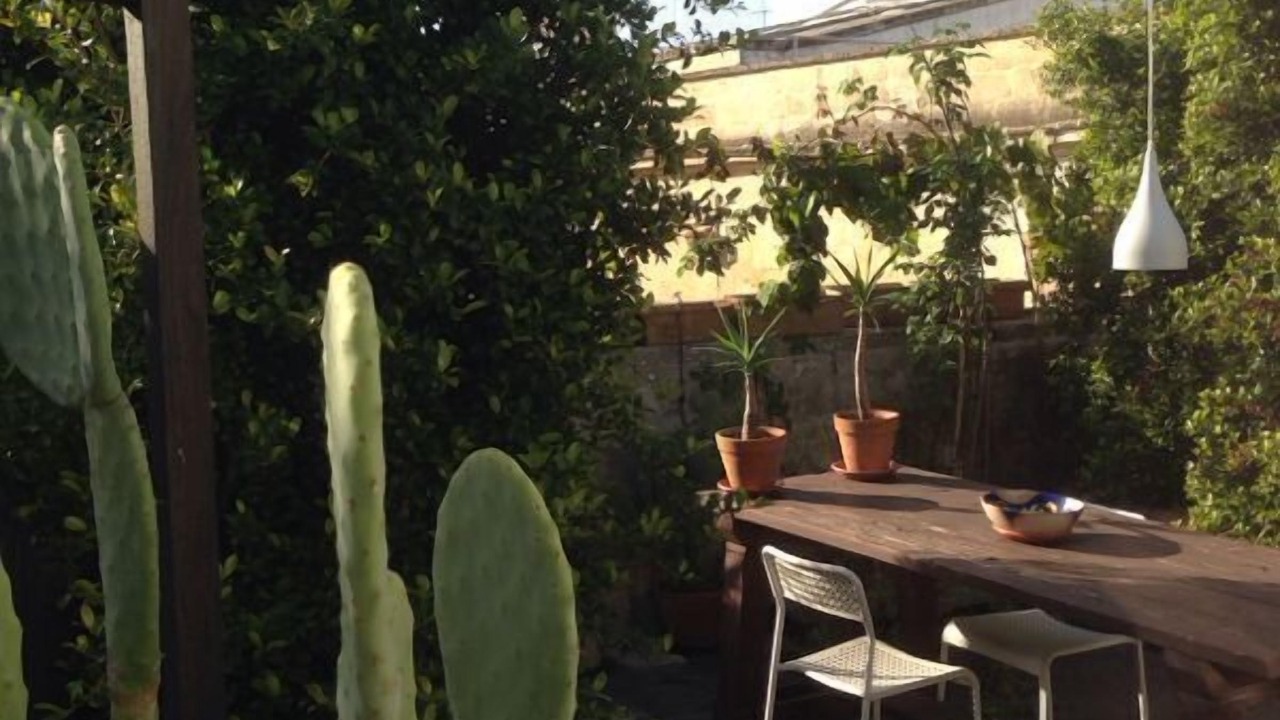 Photo of Outdoor in Lama