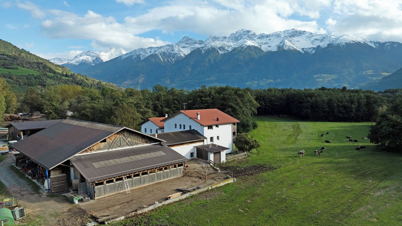 Photo of Outdoor in Sluderno