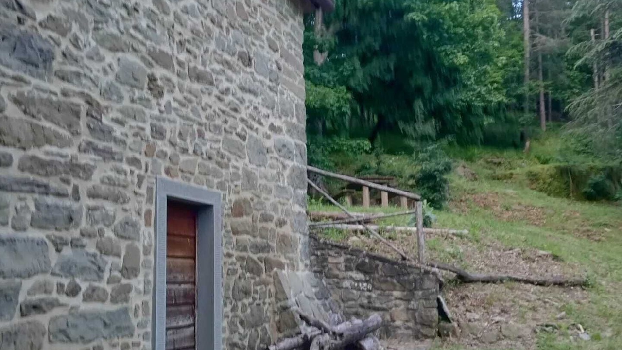 Photo of Outdoor in Moggiana