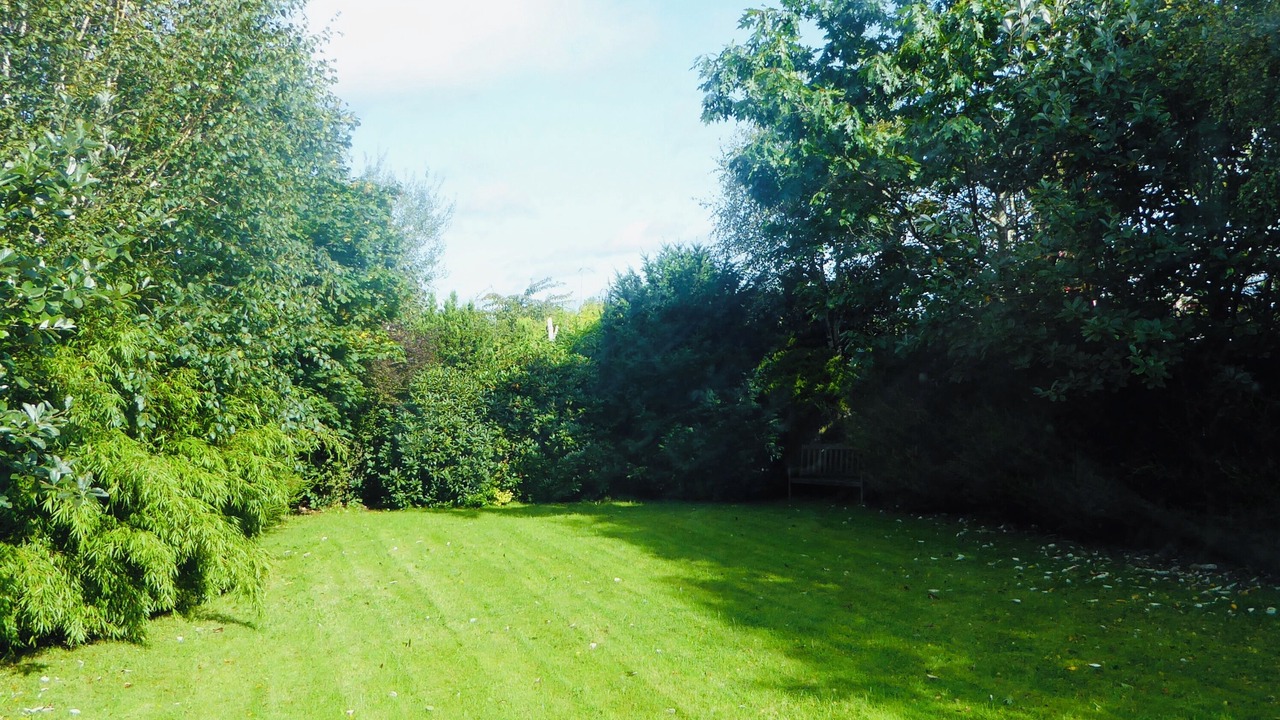 Photo of Outdoor in Banbridge