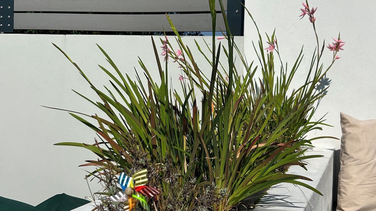 Photo of Outdoor in Portrush