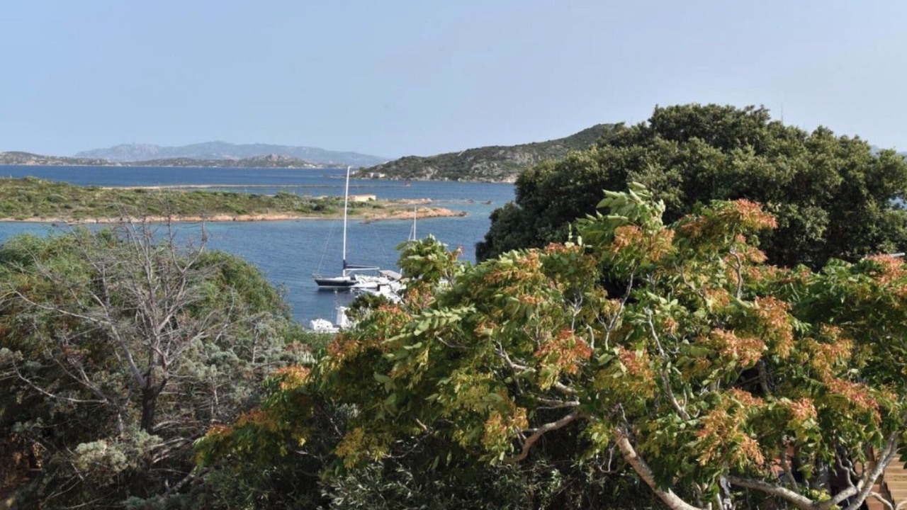 Photo of Others in La Maddalena