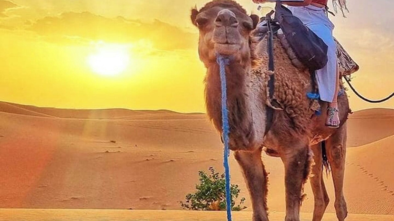 Photo of Others in Timahdite
