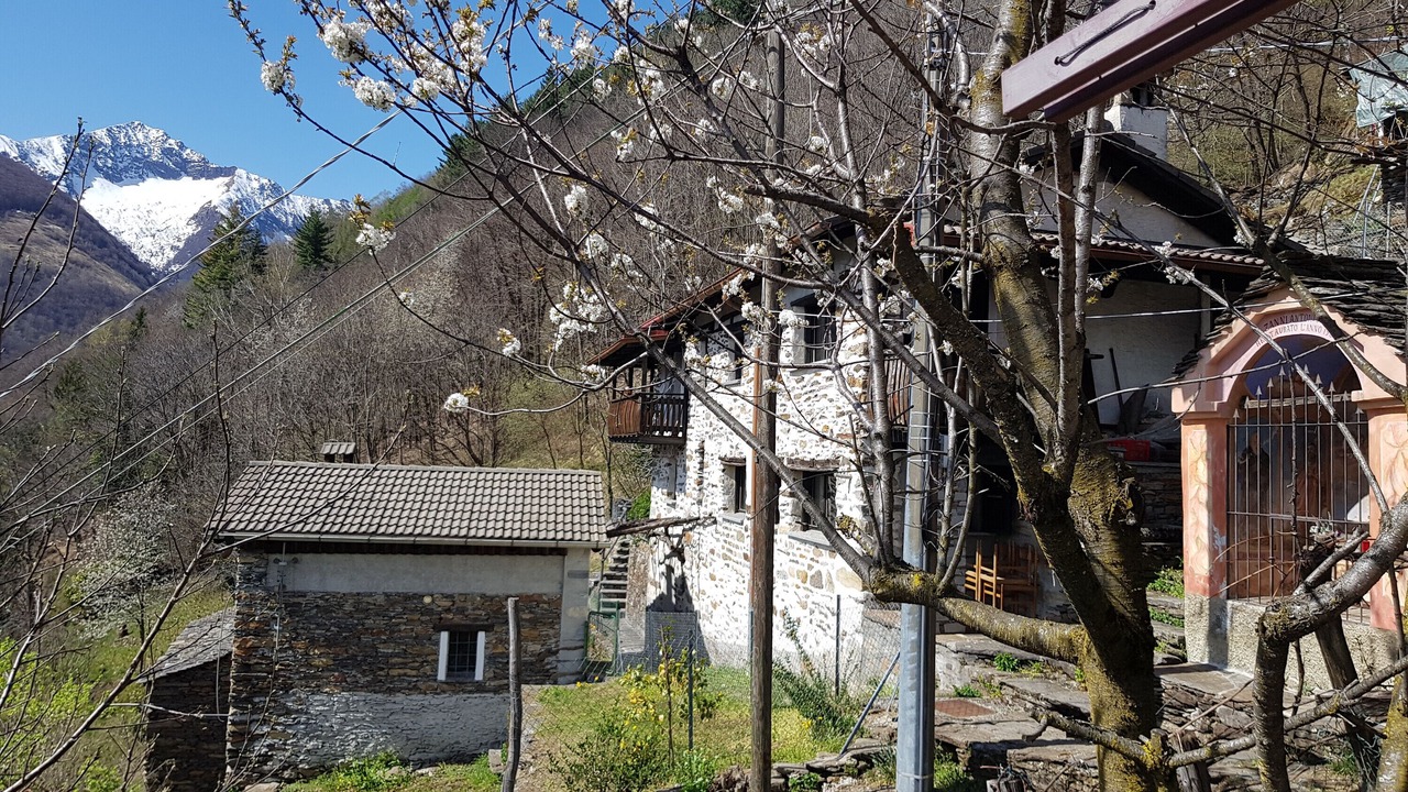 Photo of Outdoor in Lunecco