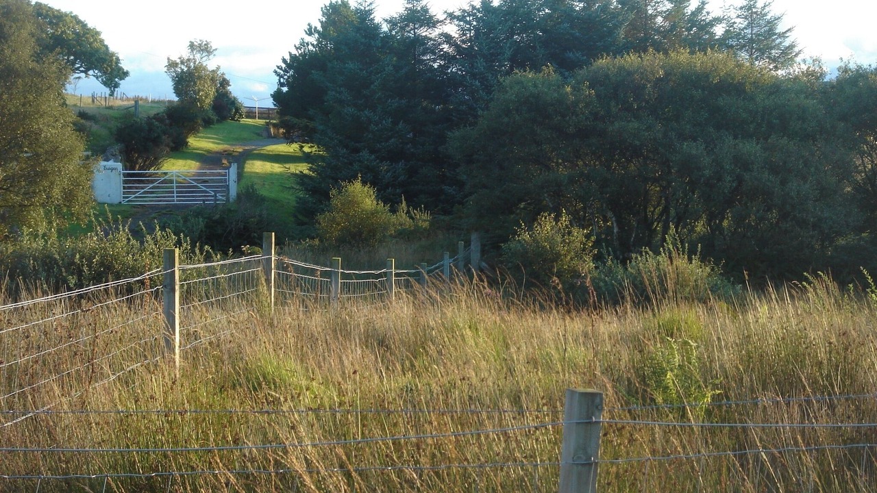 Photo of Others in Fionnphort