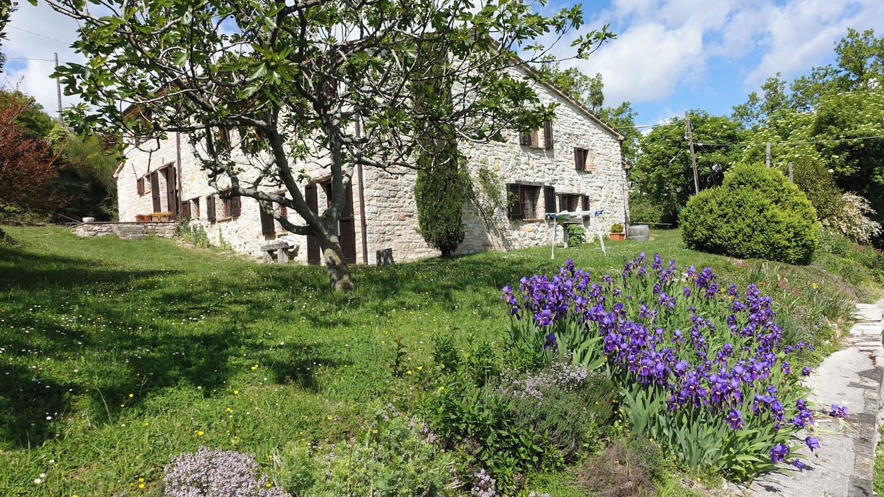 Photo of Outdoor in Furlo