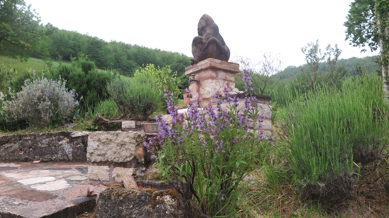 Photo of Outdoor in Furlo