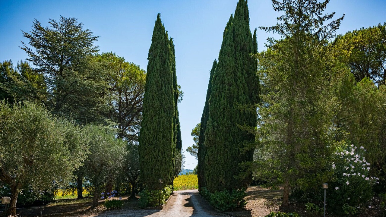 Photo of Outdoor in Sant'Elpidio a Mare