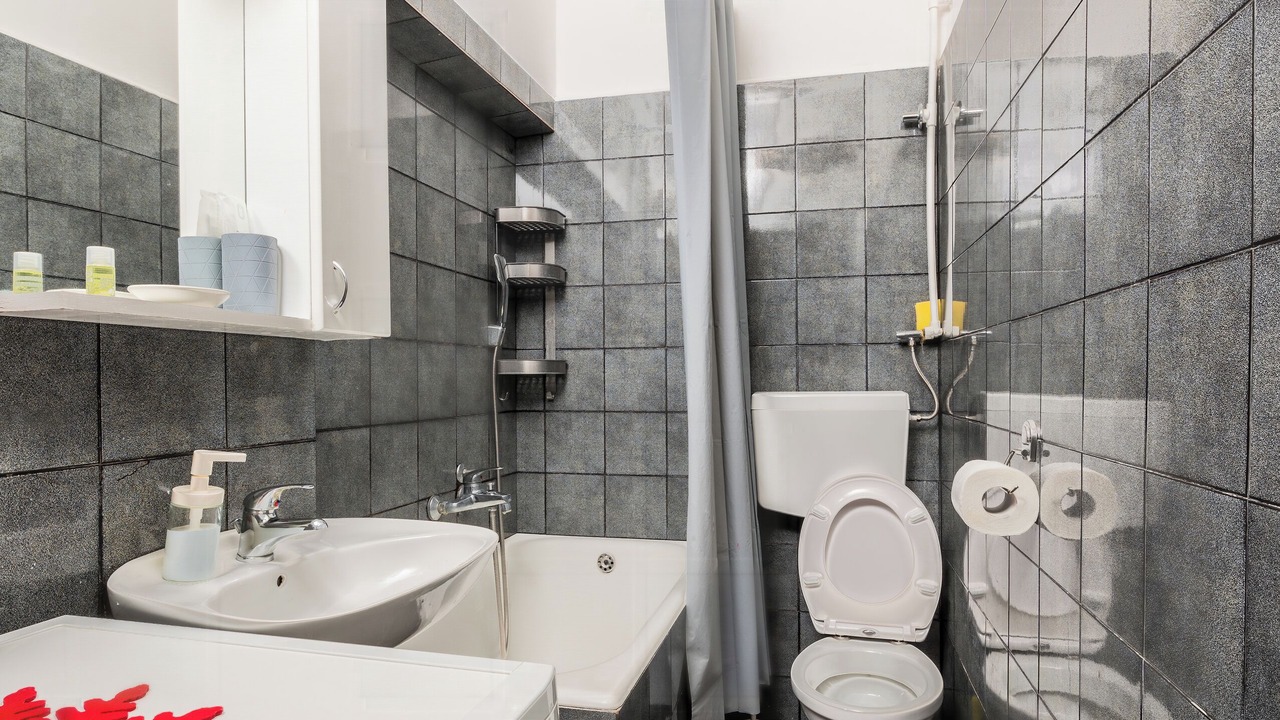 Photo of Bathroom in Palilula