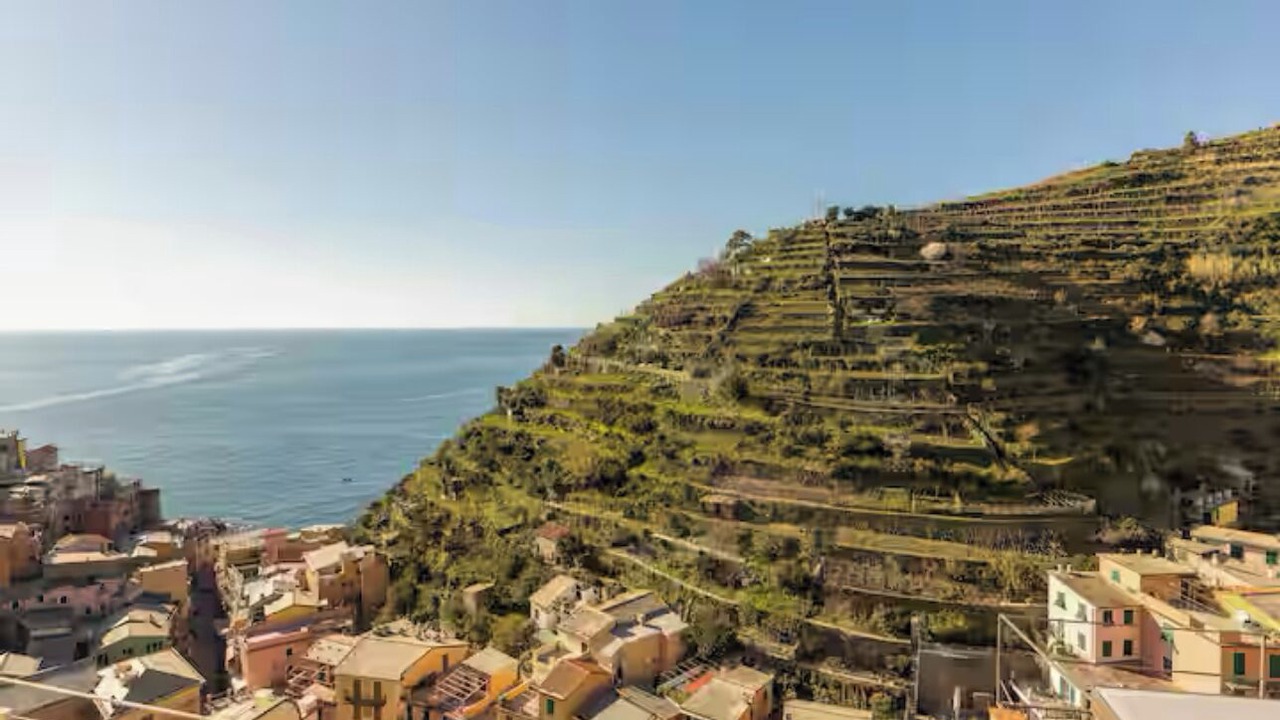 Photo of Others in Manarola