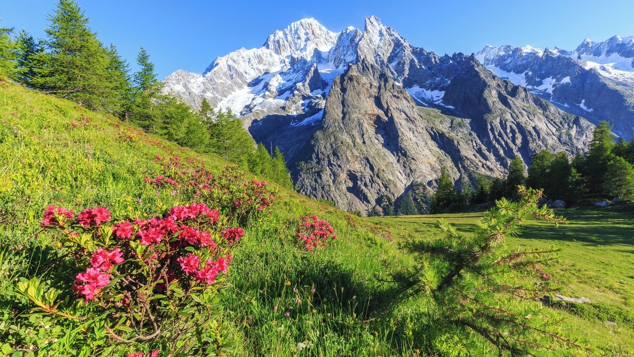 Photo of Others in Courmayeur