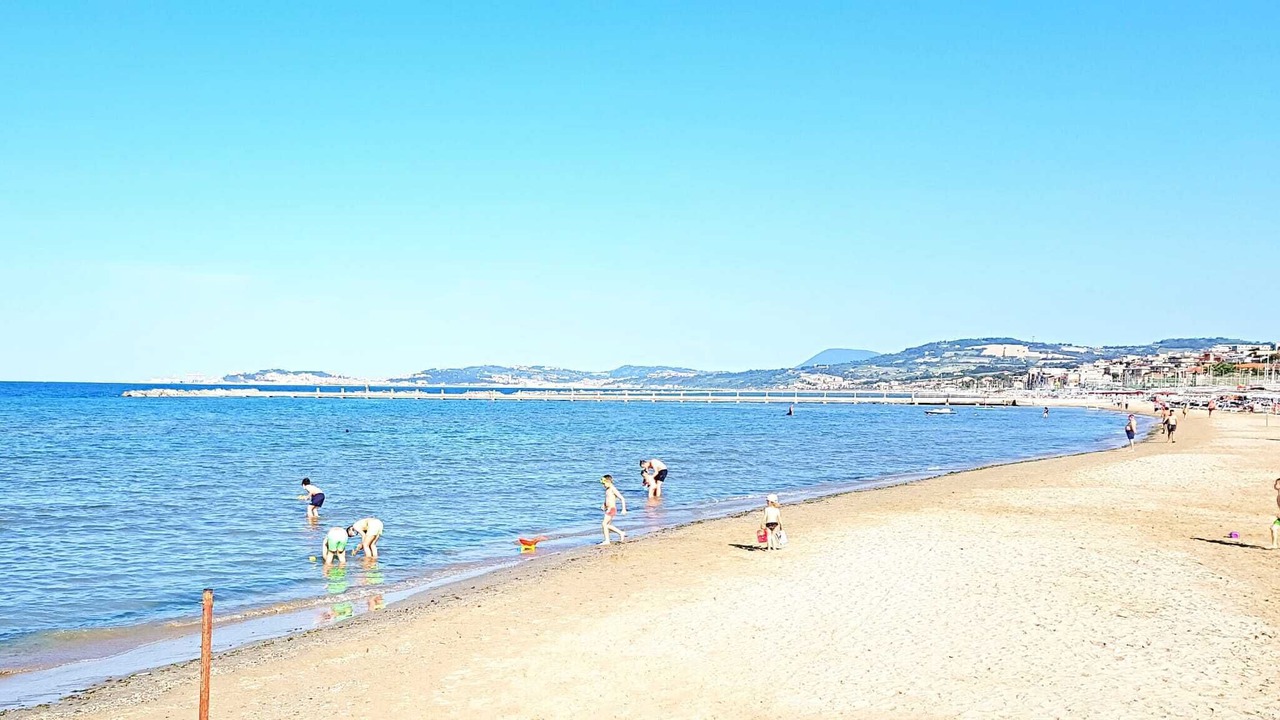 Photo of Others in Palombina Nuova