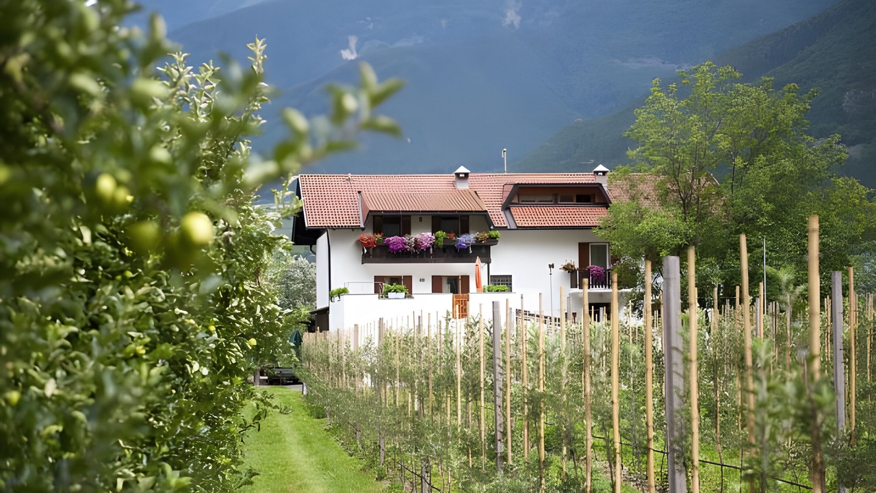 Photo of Outdoor in Naturno
