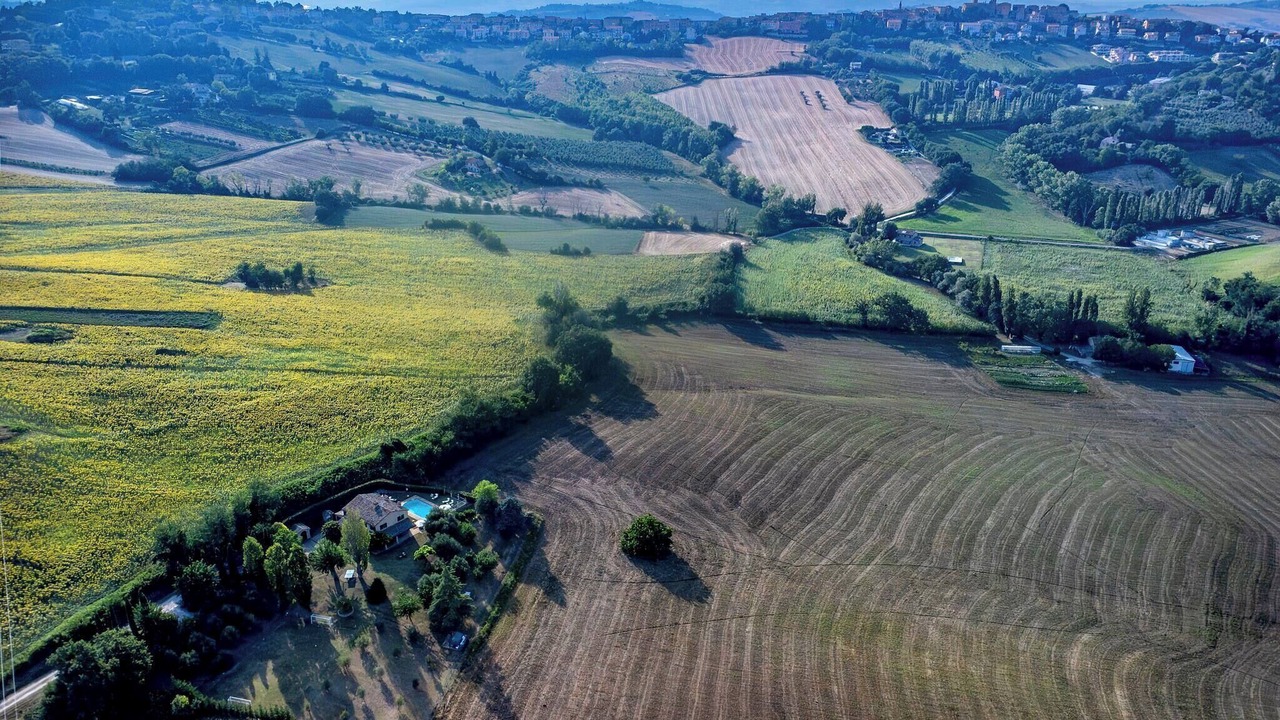 Photo of Outdoor in Mondavio