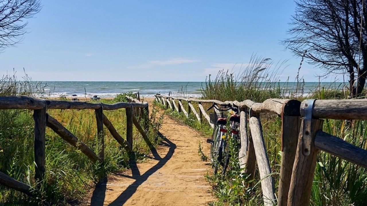 Photo of Others in Lignano Sabbiadoro