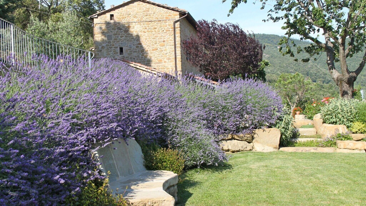 Photo of Others in Cortona