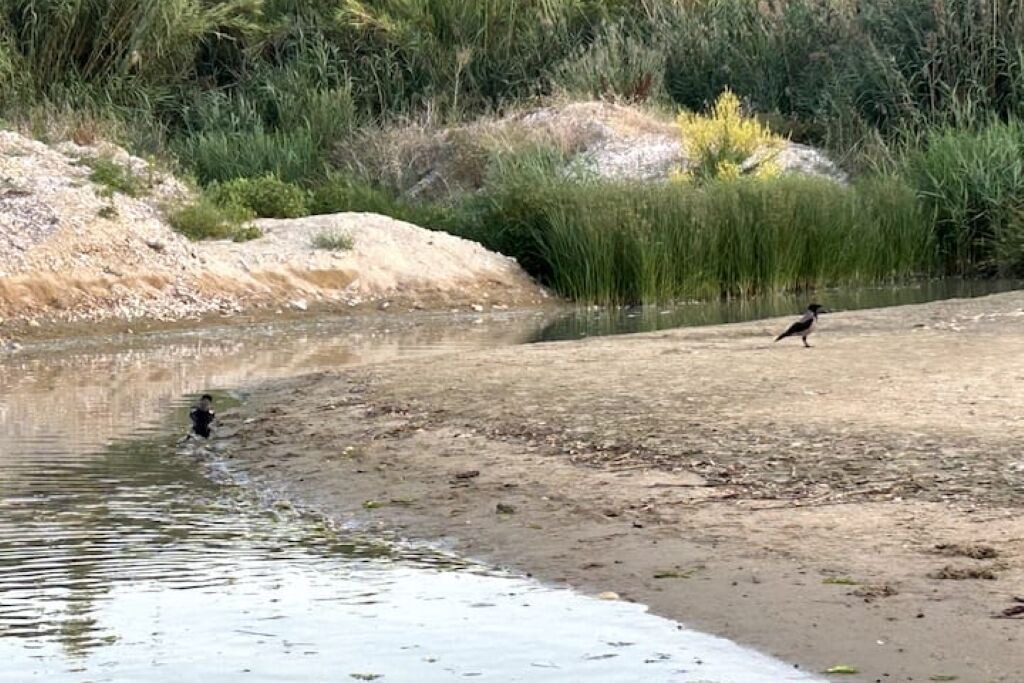 Photo of Others in Pineto