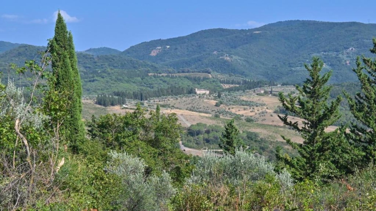 Photo of Others in Dudda