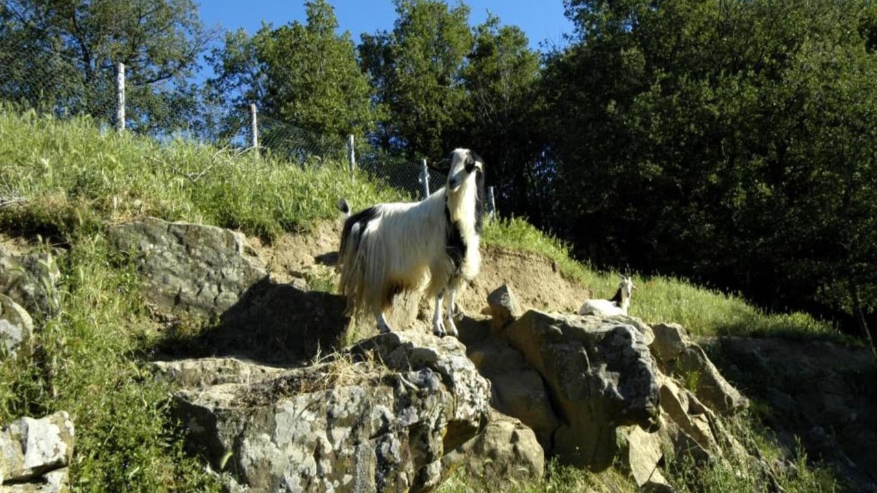 Photo of Others in Dudda