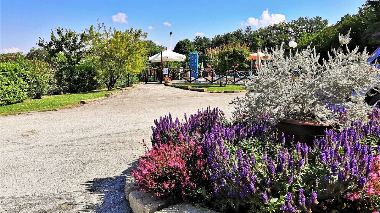 Photo of Outdoor in Tavullia