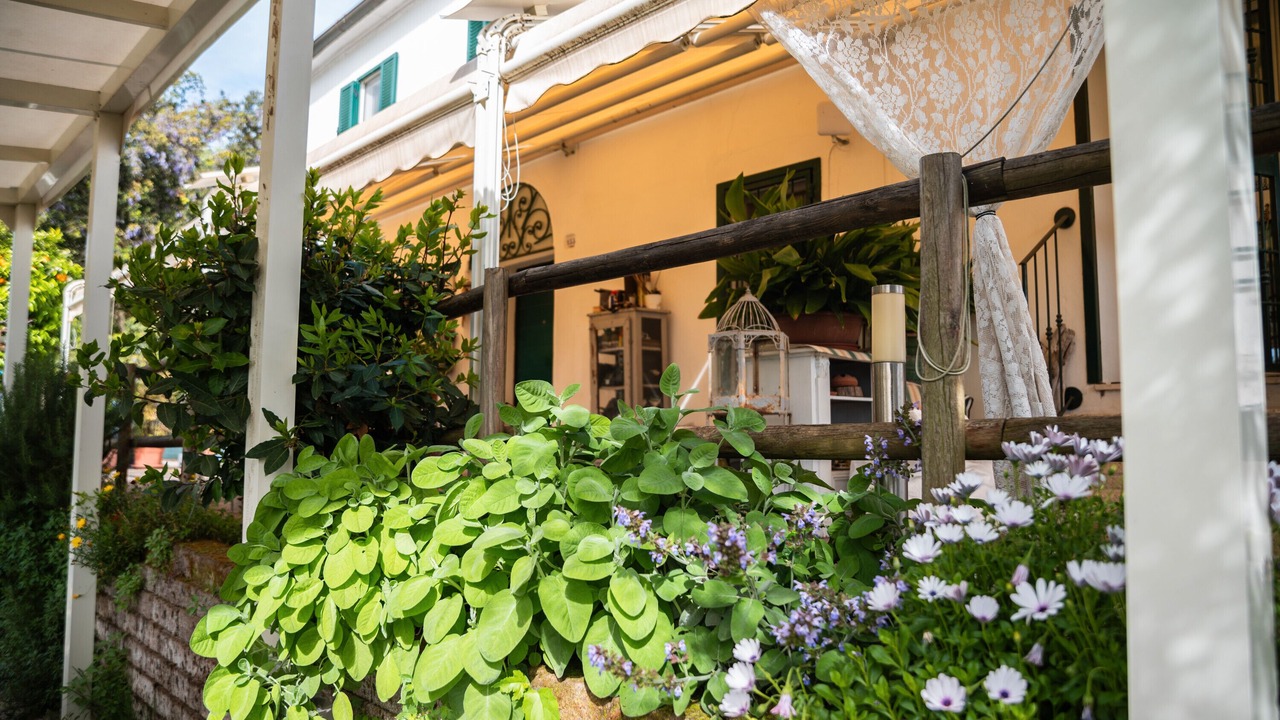 Photo of Outdoor in Collesalvetti