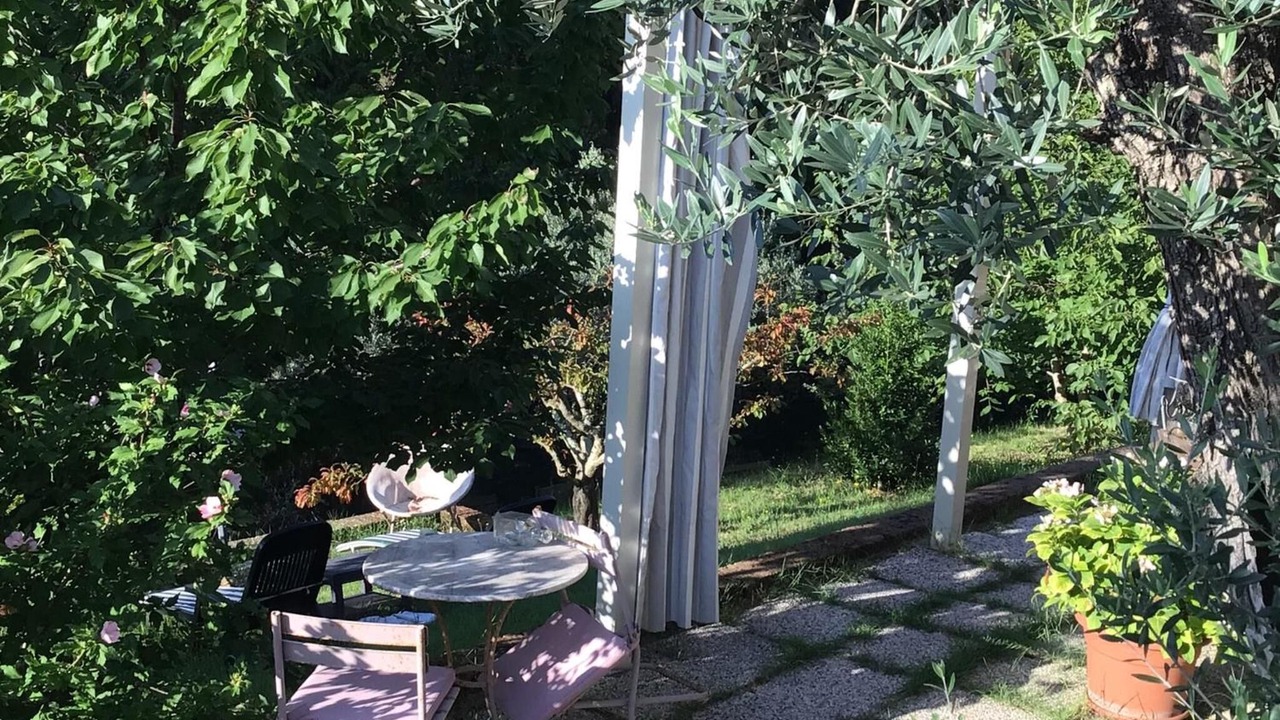 Photo of Outdoor in Collesalvetti