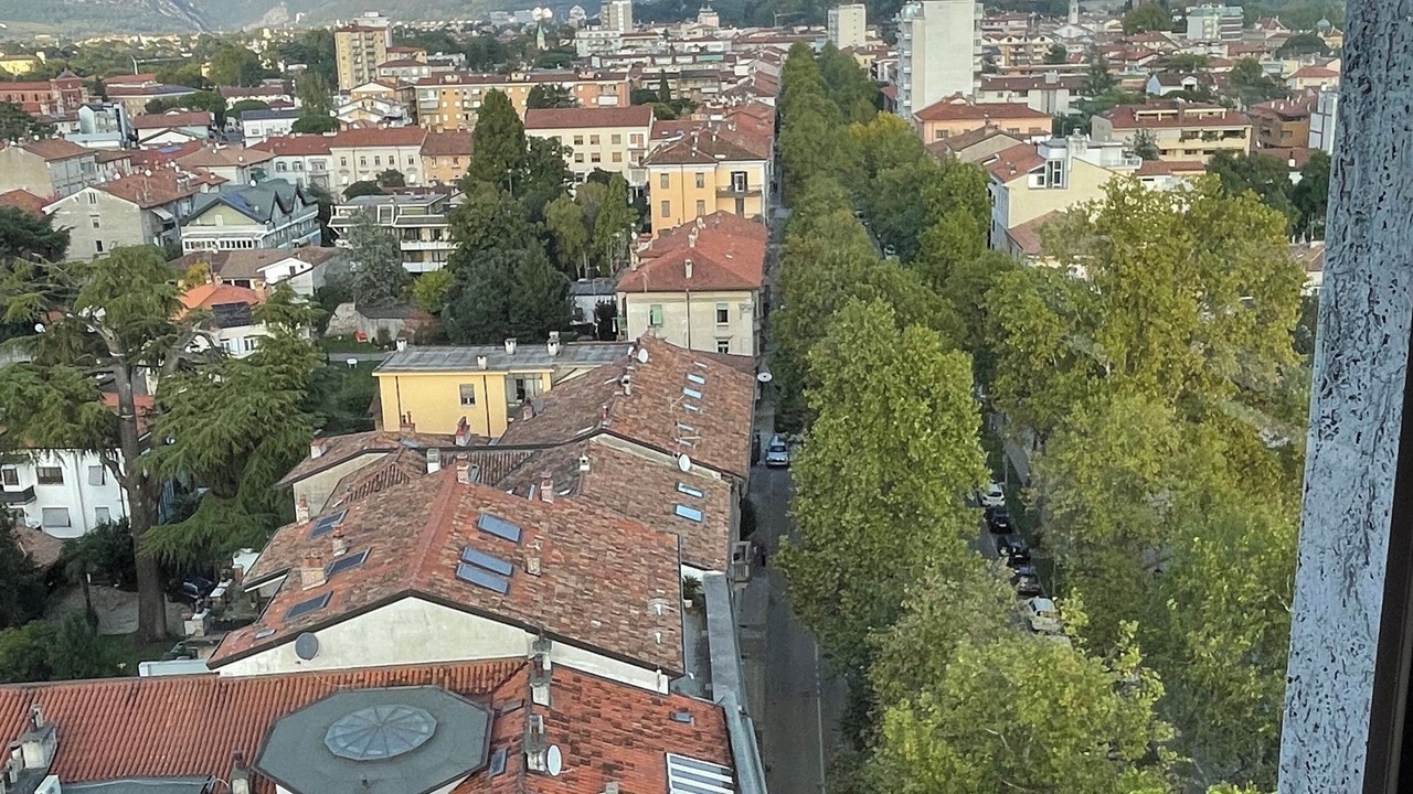 Photo of Others in Gorizia