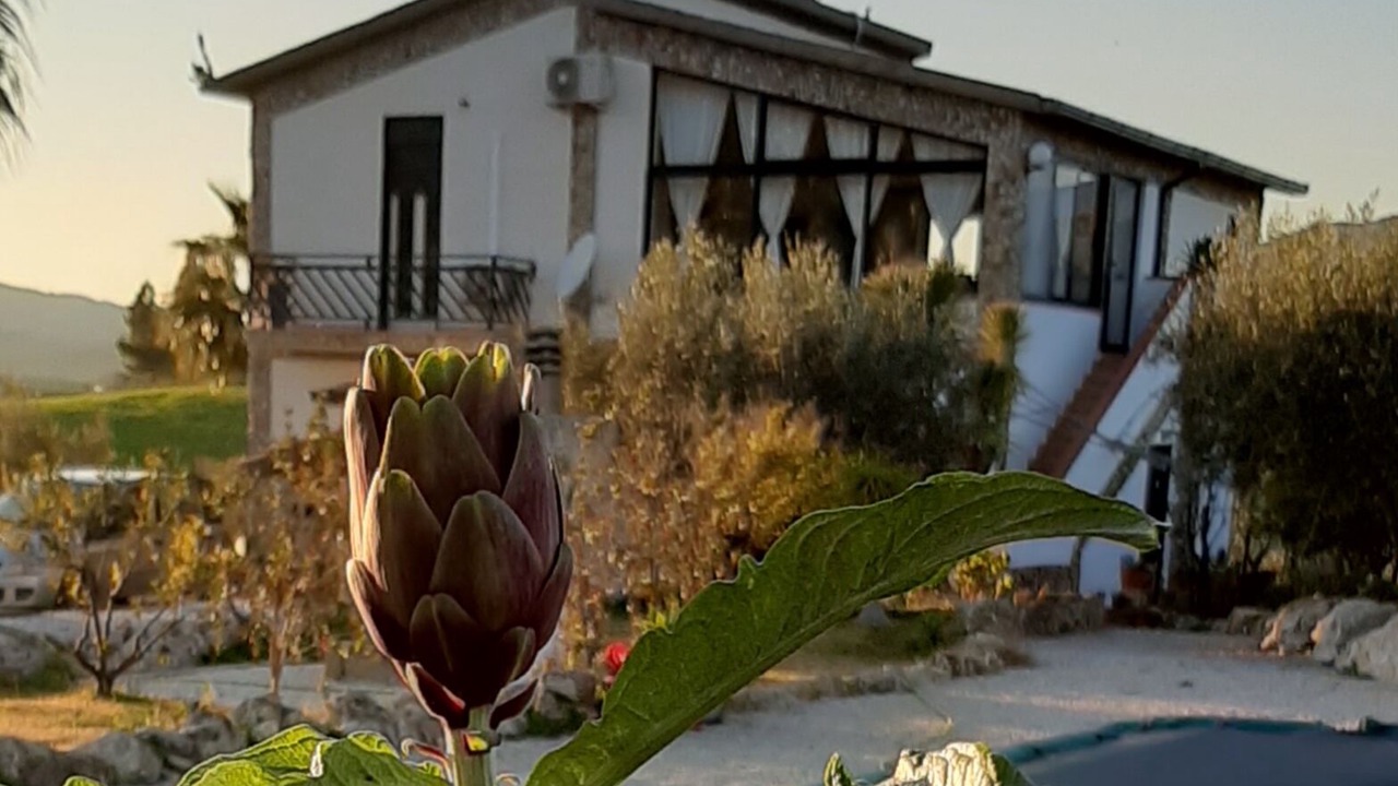 Photo of Outdoor in Agrigento