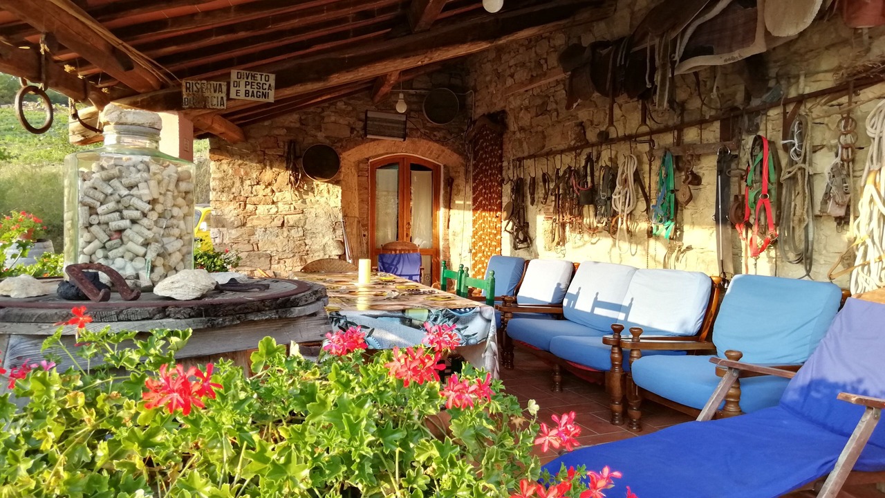 Photo of Outdoor in Radda in Chianti