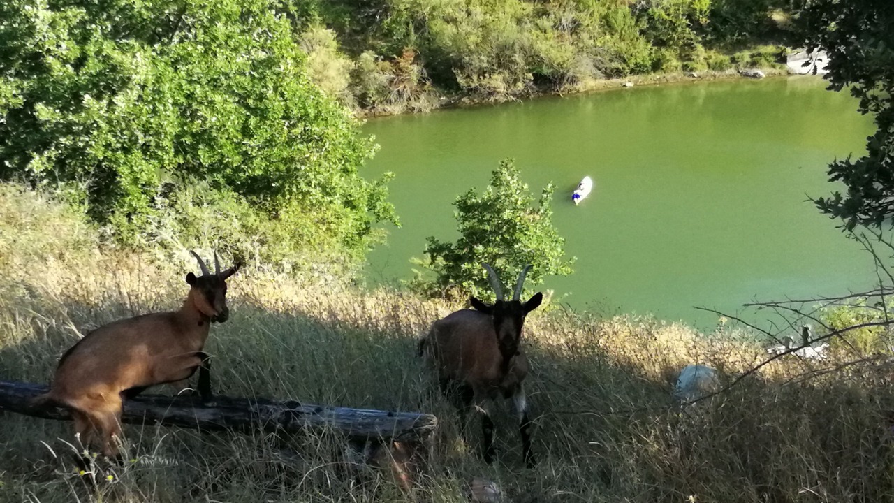 Photo of Outdoor in Radda in Chianti