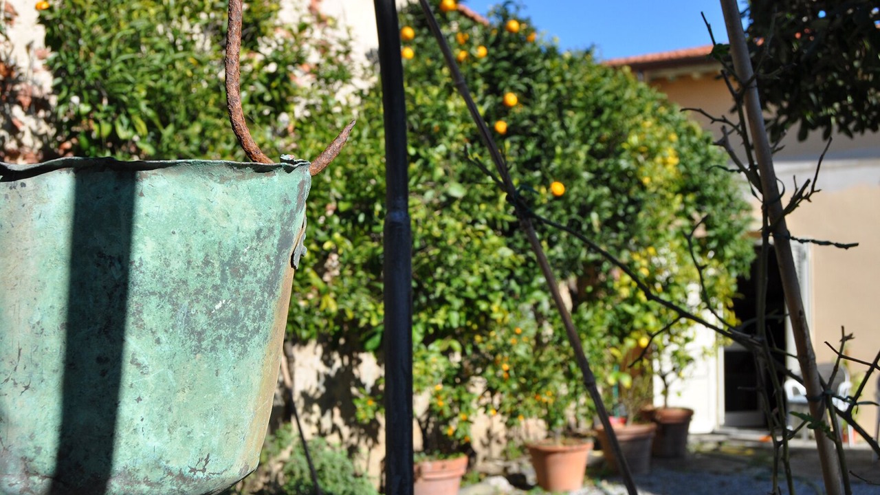 Photo of Outdoor in Marina di Pisa