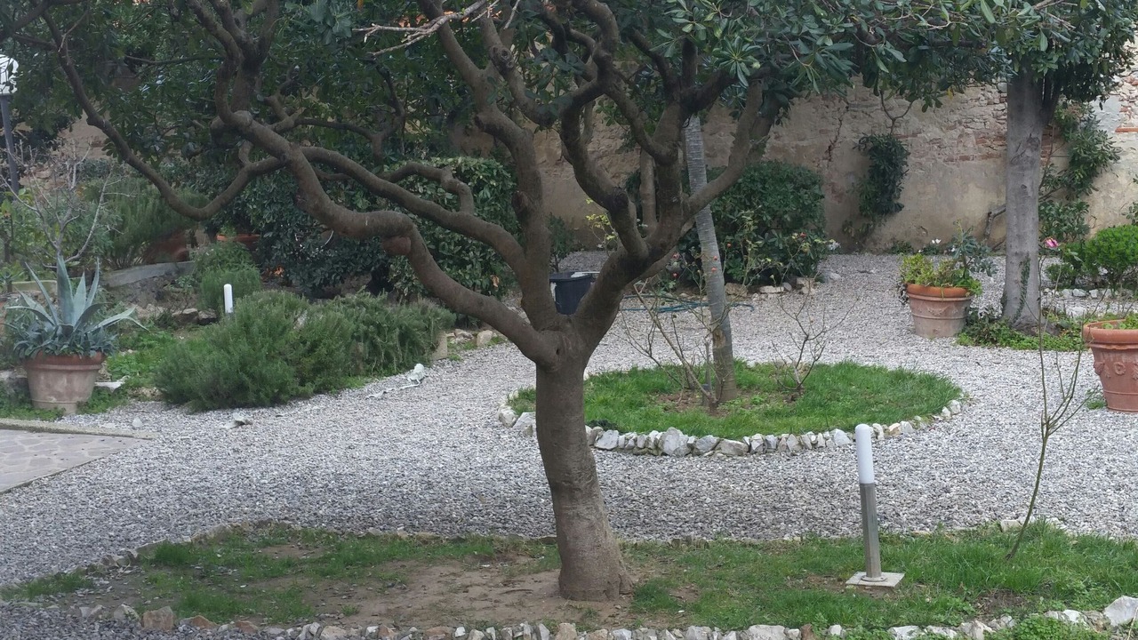 Photo of Outdoor in Marina di Pisa