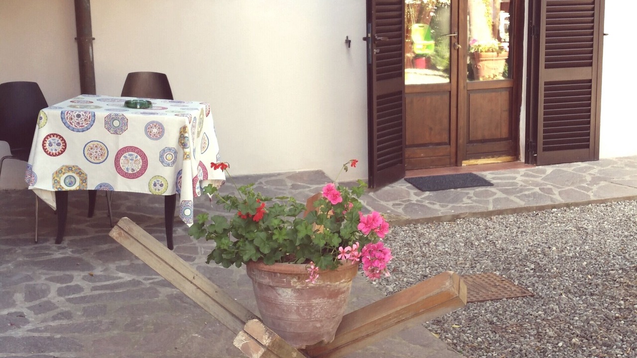 Photo of Outdoor in Marina di Pisa