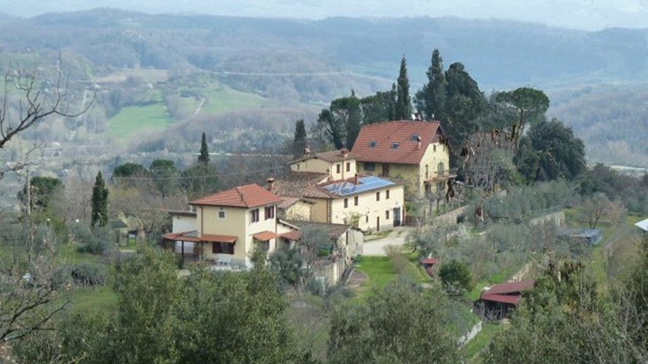 Photo of Outdoor in Neri