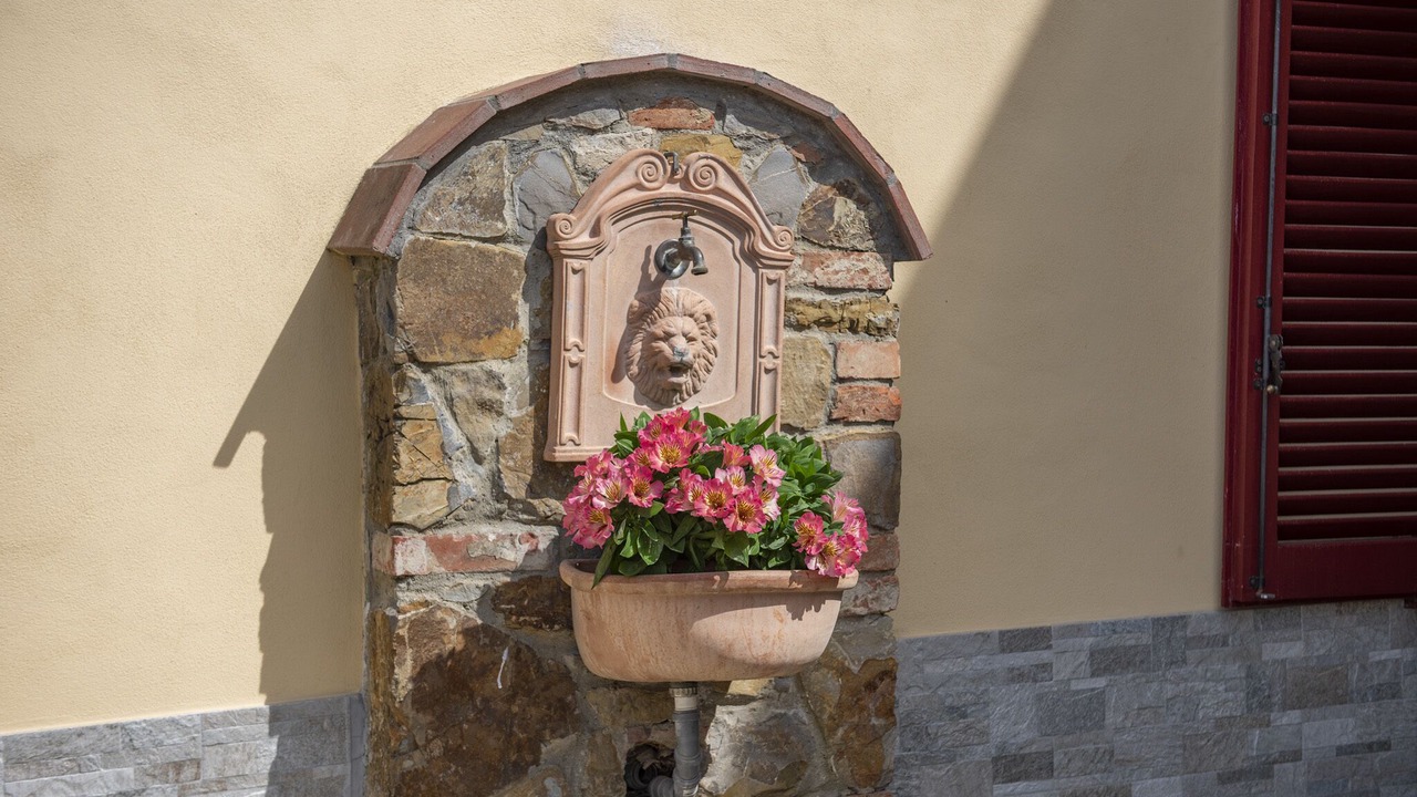 Photo of Outdoor in Neri