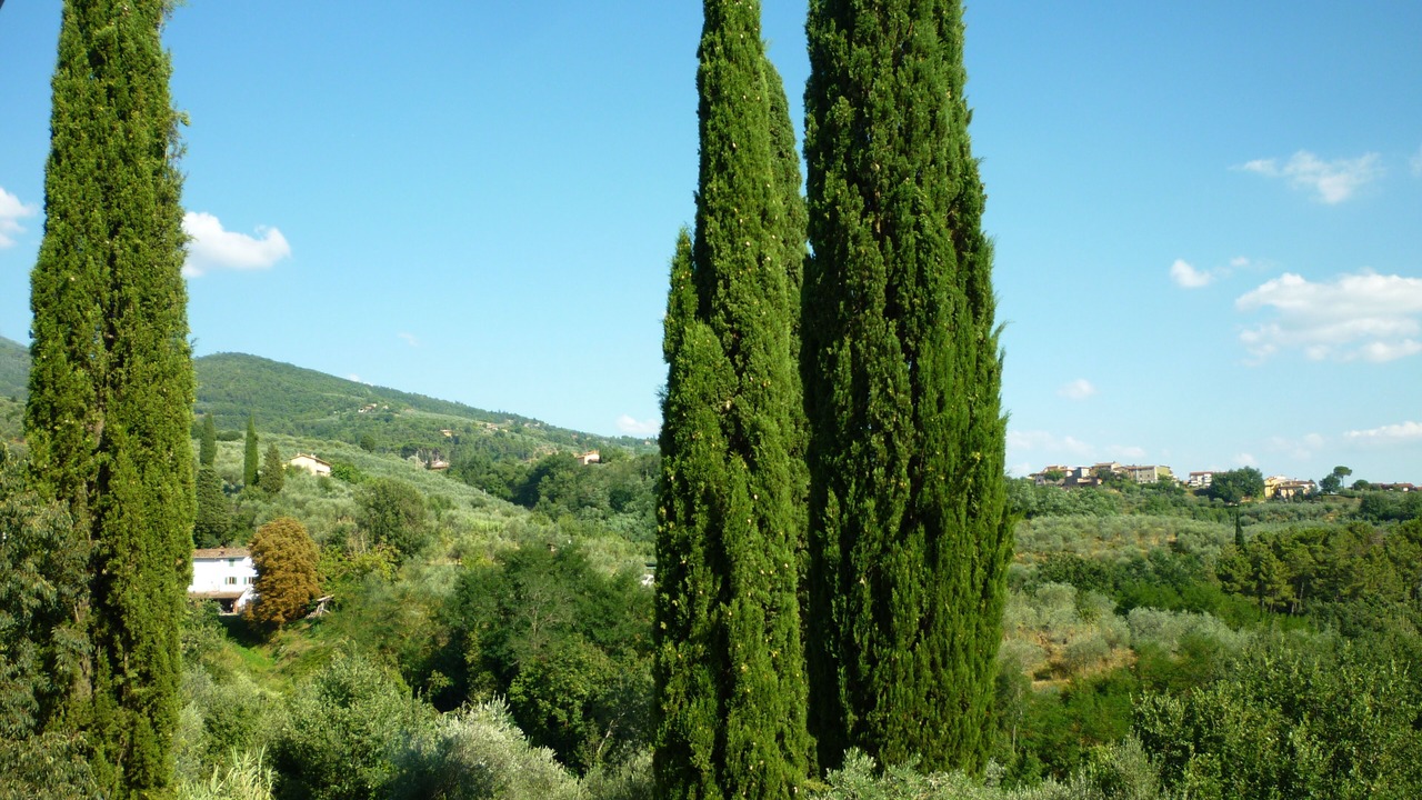 Photo of Outdoor in Bivio Pozzo
