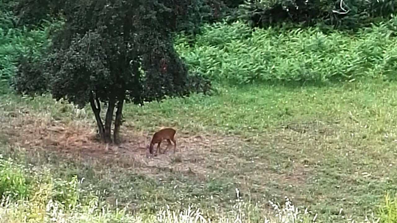 Photo of Outdoor in Bivio Pozzo