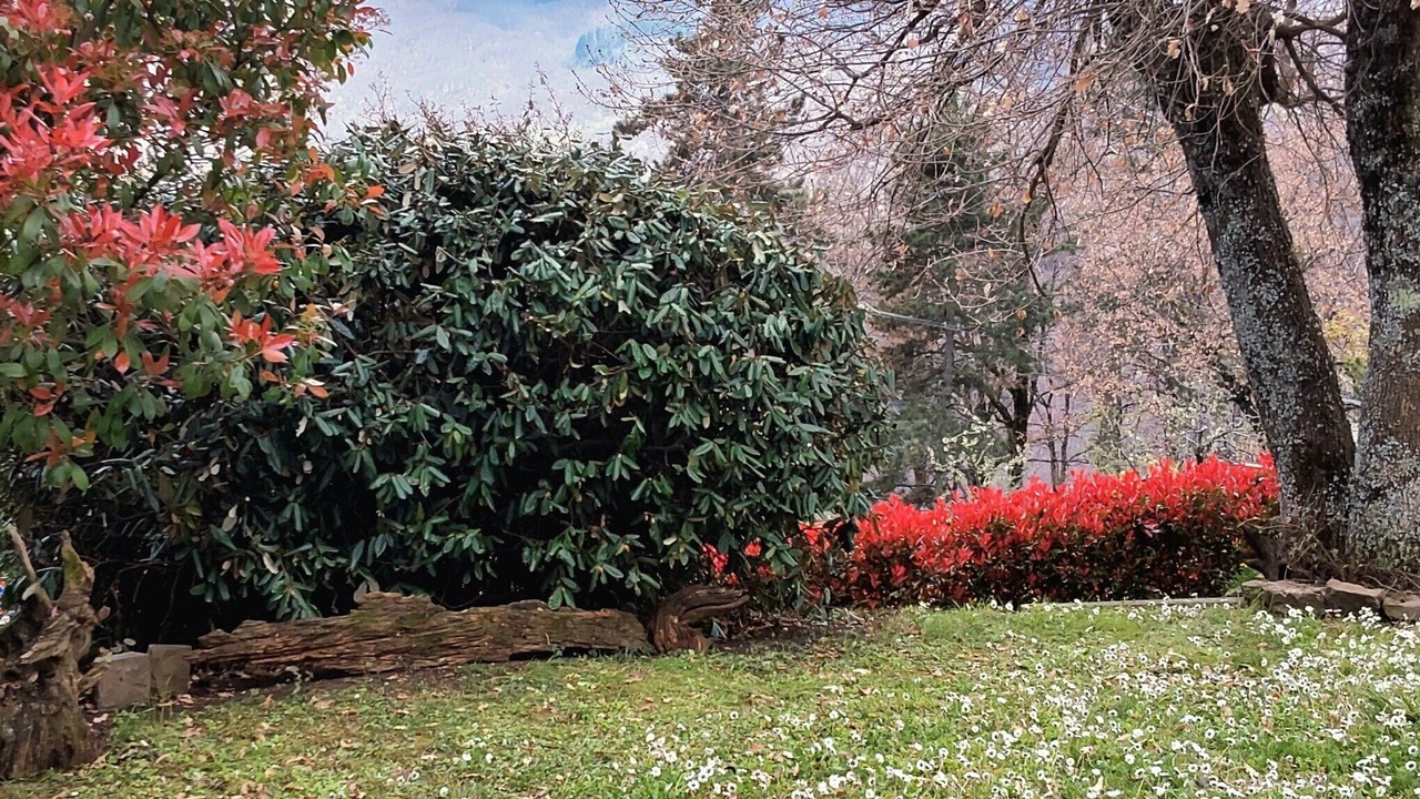 Photo of Outdoor in Quota
