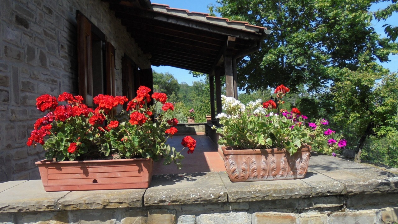 Photo of Outdoor in Quota