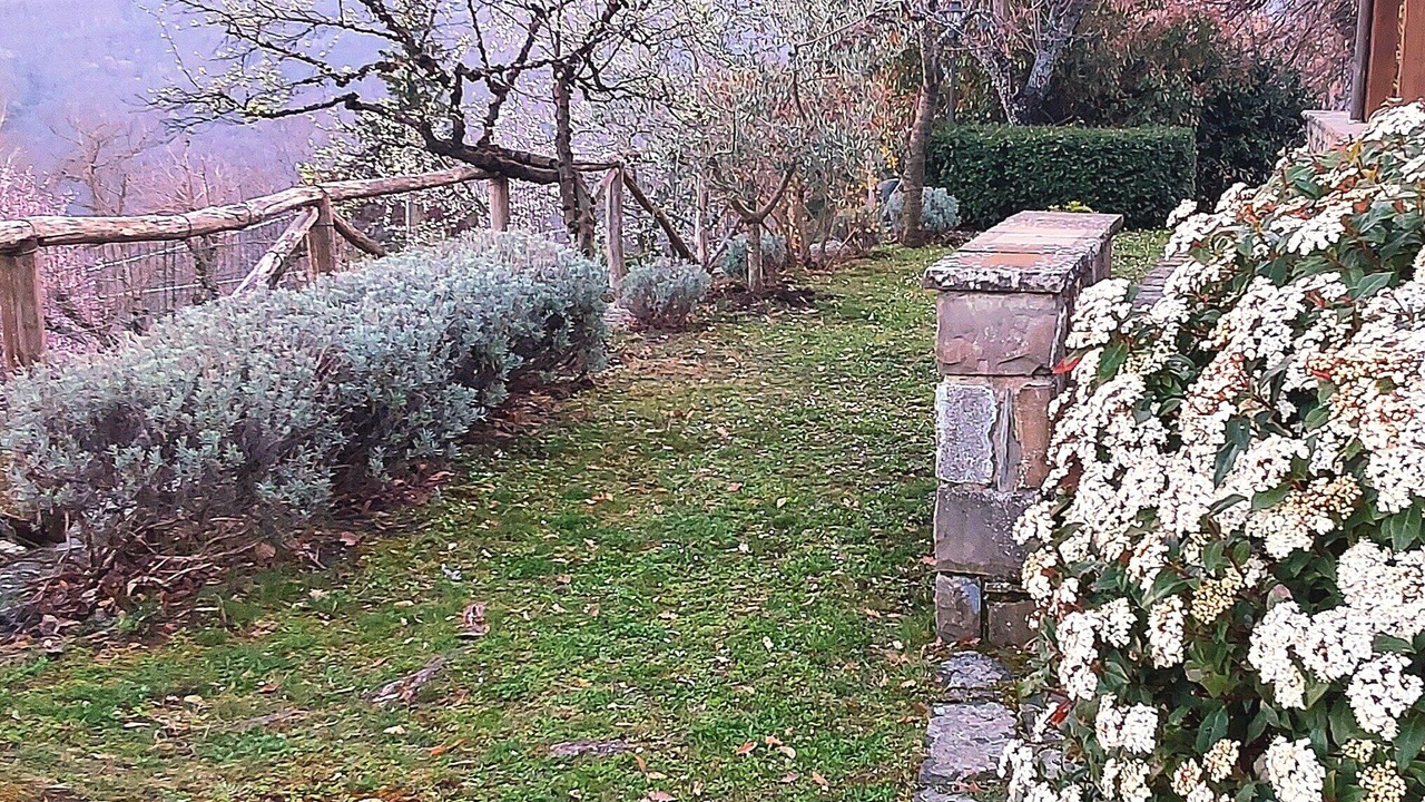 Photo of Outdoor in Quota
