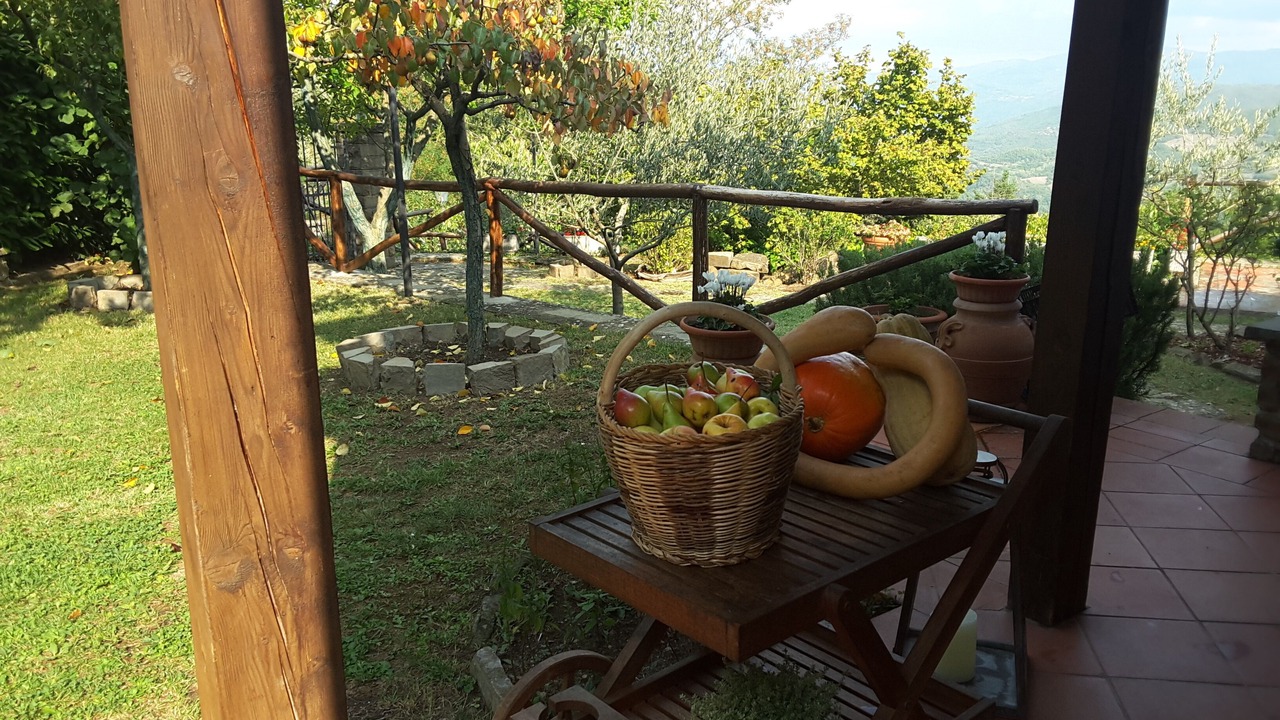 Photo of Patio Balcony in Quota