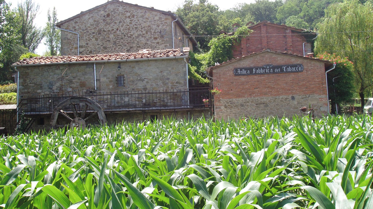 Photo of Outdoor in Porrena